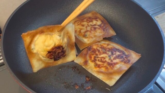 餃子春巻き　焼き